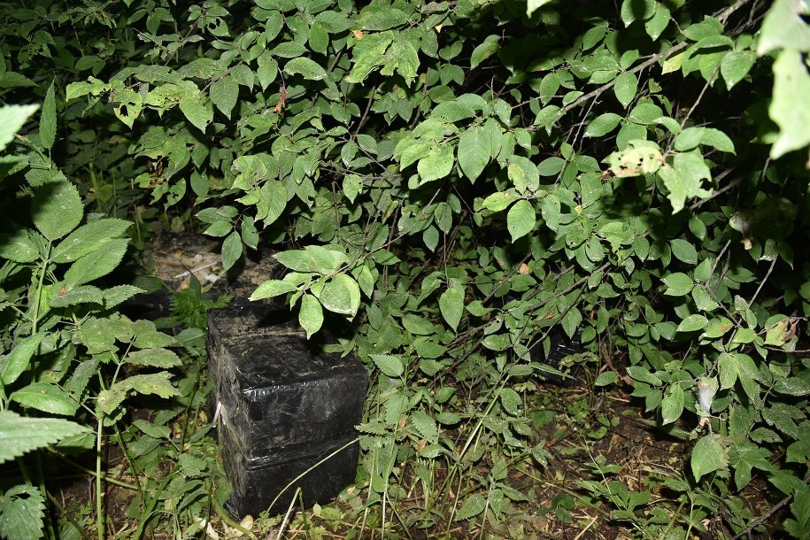 Paczka z przemycanymi papierosami /Straż Graniczna