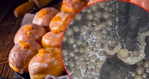 Pączki zatkały rurociąg po tłustym czwartku. "Kanalizacja nie jest miejscem na odpady"