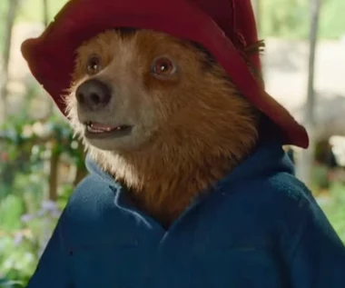 "Paddington w Peru" już niedługo na VOD. Więcej przygód, humoru i marmolady