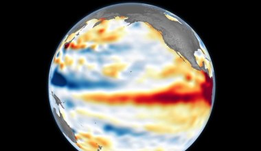 Padł rekord temperatury w oceanach. Naukowcy biją na alarm