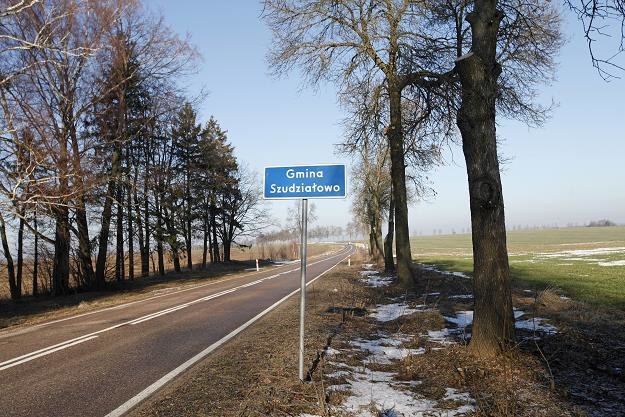 Padłego dzika z ASF znaleziono w gminie Szudziałowo, ok. 900 m od granicy z Białorusią /PAP