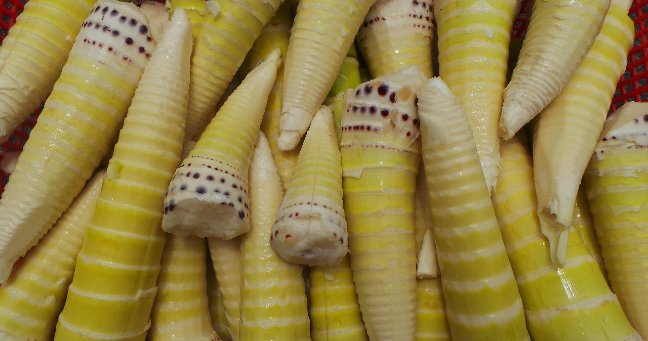 Пагони бамбука - екзотичний продукт, що має всі шанси заполонити наші серця /pixabay.com