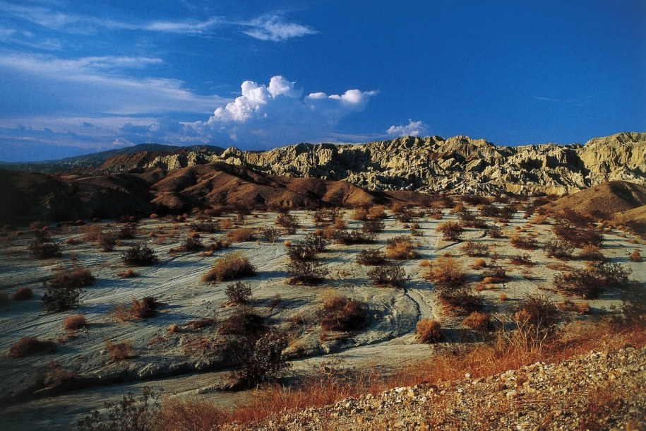 Painted Canyon /Newscom /PAP/EPA