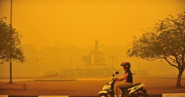 Palangkaraya, prowincja Środkowy Kalimantan, Indonezja /EPA