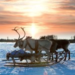 Paleolityczni łowcy nie opuścili dzisiejszej Polski?