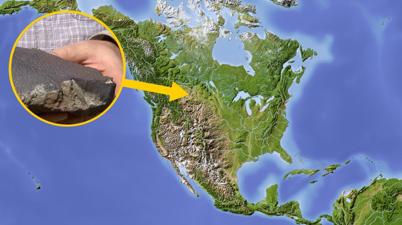 Paleontolodzy odnaleźli w Kanadzie m.in. skamieniały fragment skóry hadrozaura /123RF/PICSEL