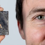 Paleontologiczna sensacja. Naukowcy odkryli wymarłą formę życia