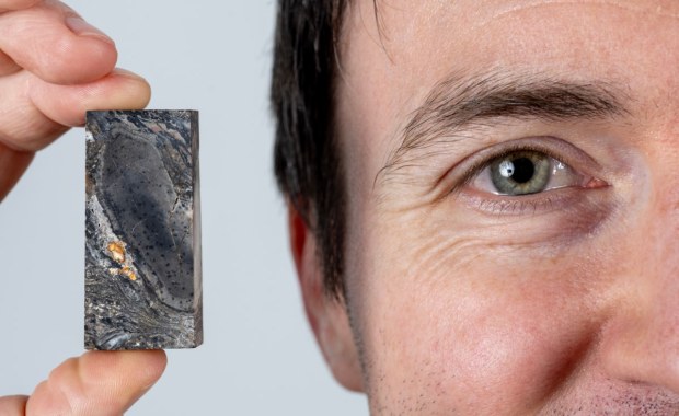 Paleontologiczna sensacja. Naukowcy odkryli wymarłą formę życia