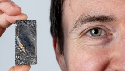 Paleontologiczna sensacja. Naukowcy odkryli wymarłą formę życia