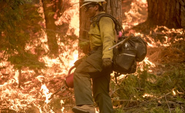 Palić, żeby zapobiegać pożarom