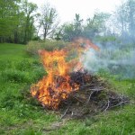 Palisz gałęzie na działce? Możesz za to słono zapłacić