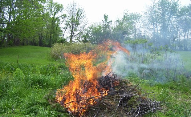 Palisz gałęzie na działce? Możesz za to słono zapłacić