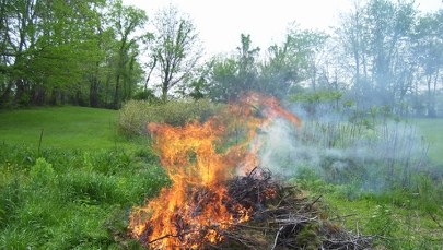 Palisz gałęzie na działce? Możesz za to słono zapłacić