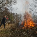 działka ROD Palisz gałęzie na swojej działce? Możesz zapłacić za to nawet 5 tys. zł