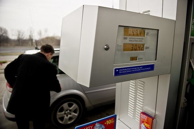 Paliwa znacznie podrożały, ale ceny nie są wszędzie takie same /PAP