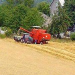 Paliwo rolnicze: 50 zł na hektar