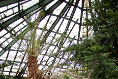 Palma z Gdańska-Oliwy atakuje