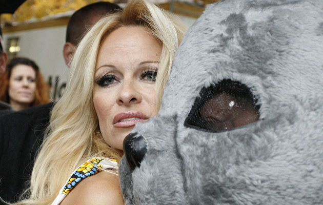 Pamela Anderson &nbsp; /Splashnews