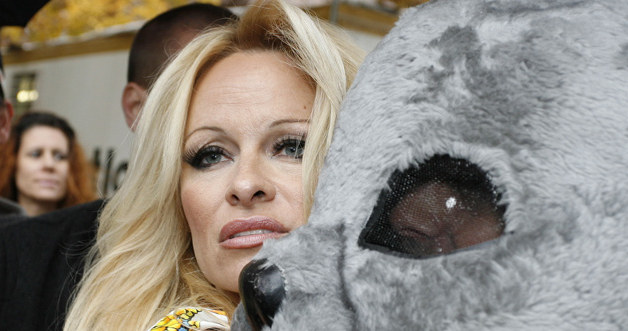 Pamela Anderson &nbsp; /Splashnews