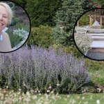 Pamela Anderson Pamela Anderson pokazała swój prywatny azyl. Ogród jak z filmu Disneya