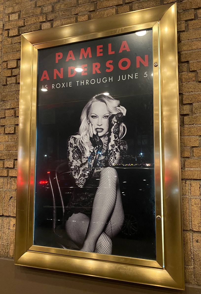 Pamela Anderson w roli "Roxie" w musicalu "Chicago" /Bruce Glikas/Getty Images /Getty Images