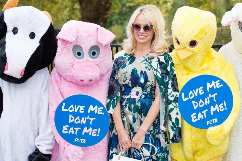 Pamela Anderson wspiera PETA /Jeff Spicer /Getty Images