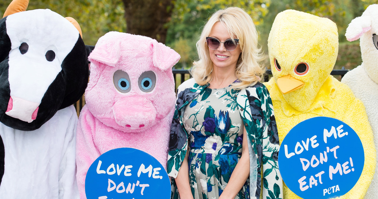 Pamela Anderson wspiera PETA /Jeff Spicer /Getty Images