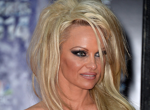 Pamela Anderson znów się rozwodzi /Getty Images
