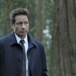 David Duchovny Pamiętacie Muldera z "Z Archiwum X"? Tak dziś żyje David Duchovny