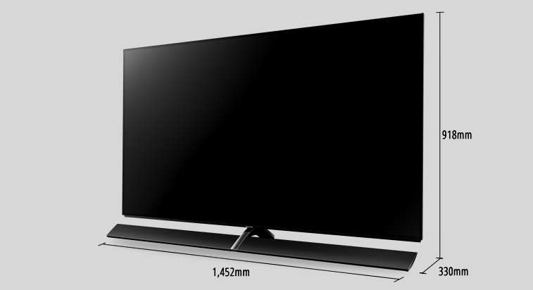 Panasonic EZ1000 /materiały prasowe