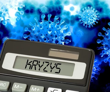 Pandemia koronawirusa. Prognozy gospodarcze na ten rok trzeba będzie zrewidować - Wyżnikiewicz