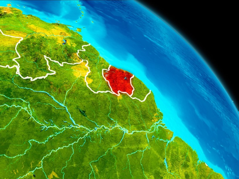 Pandemie są m.in. wynikiem niszczenia przyrody i globalnego ocieplenia /123RF/PICSEL