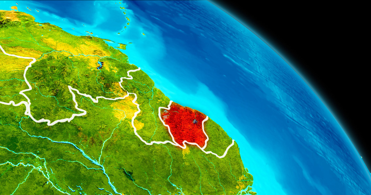 Pandemie są m.in. wynikiem niszczenia przyrody i globalnego ocieplenia /123RF/PICSEL