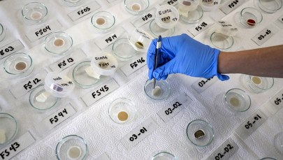 Pandemii można było zapobiec? "Łowcy wirusów" zidentyfikowali nowe koronawirusy