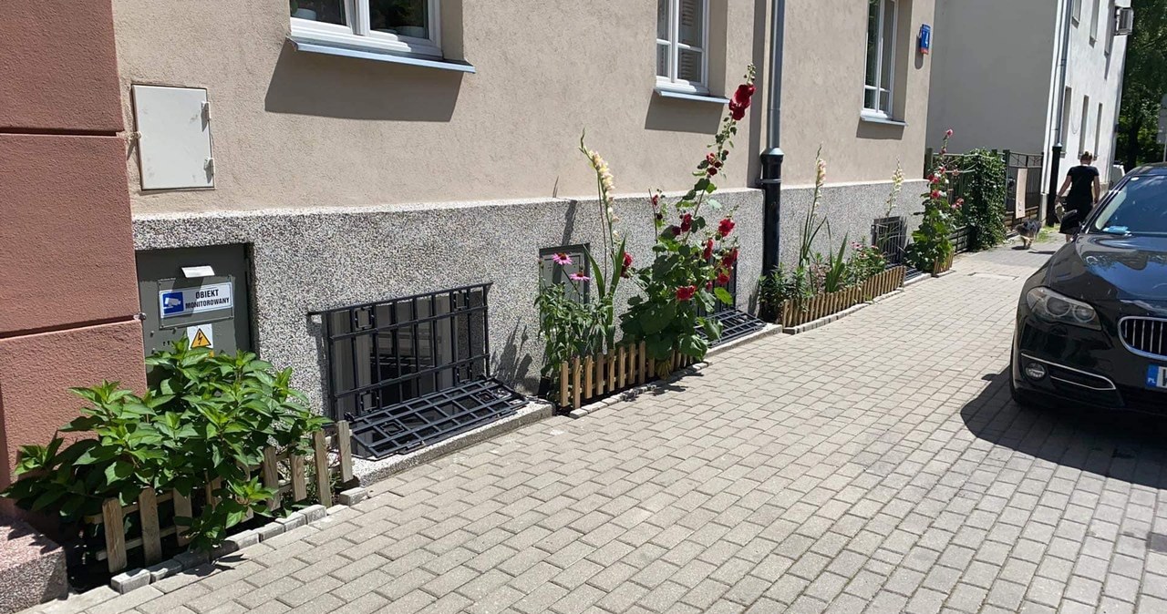 Pani Sylwia stworzyła za własne pieniądze ogródek fasadowy. Urzędnicy uznali, że to "zajęcia pasa drogowego" i ją ukarali /Sylwia Jedyńska | Zieleń zamiast betonu /INTERIA.PL