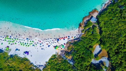Panika na plaży w Brazylii. Plażowicze myśleli, że trwa atak rekinów