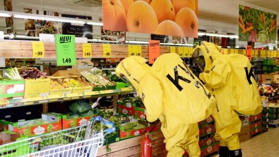 Panika w sklepie z powodu jadowitego pająka