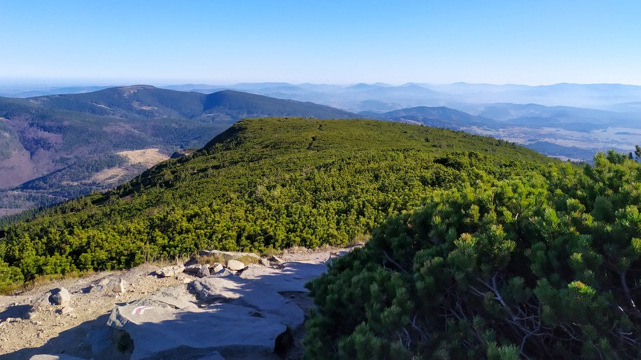Powstanie kolejna wieża widokowa w Beskidzie Wyspowym