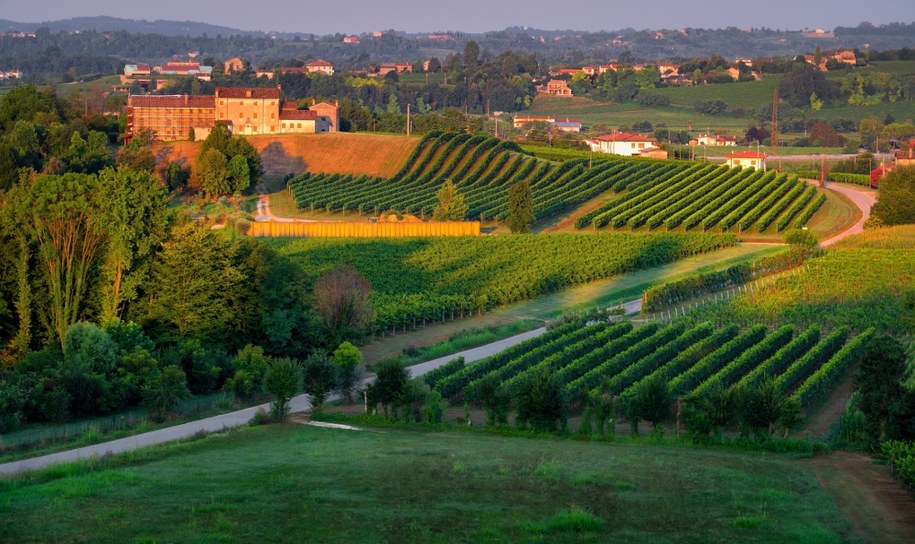 Panorama miejscowości Valdobbiadene /Shutterstock
