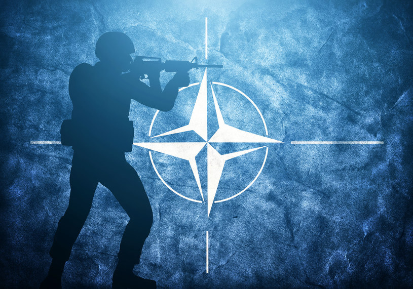 Państwa członkowskie NATO - kto jest w NATO, kto należy do sojuszu? /123RF/PICSEL