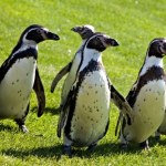 Państwo z Ameryki Południowej przekazało kiepskie wieści. Jest coraz gorzej