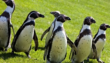 Państwo z Ameryki Południowej przekazało kiepskie wieści. Jest coraz gorzej
