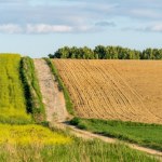 Państwowa ziemia zablokowana na 10 lat. Nowy projekt ustawy już gotowy