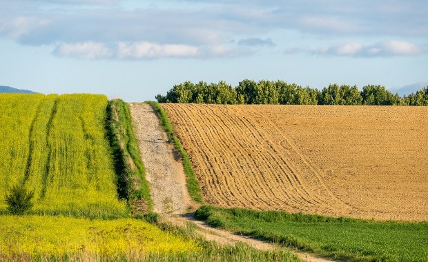 Państwowa ziemia zablokowana na 10 lat. Nowy projekt ustawy już gotowy