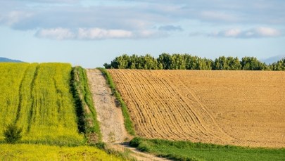 Państwowa ziemia zablokowana na 10 lat. Nowy projekt ustawy już gotowy