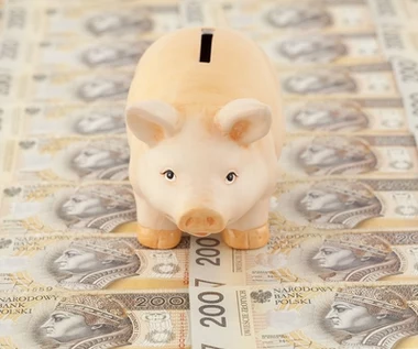 Państwowy dług publiczny wyniósł 1,16 bln zł