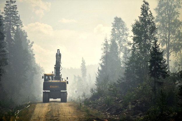 Panujące w Szwecji upały utrudniają gaszenie lasów, które płoną w kilkudziesięciu miejscach w całym kraju /ERIK SIMANDER /PAP/EPA