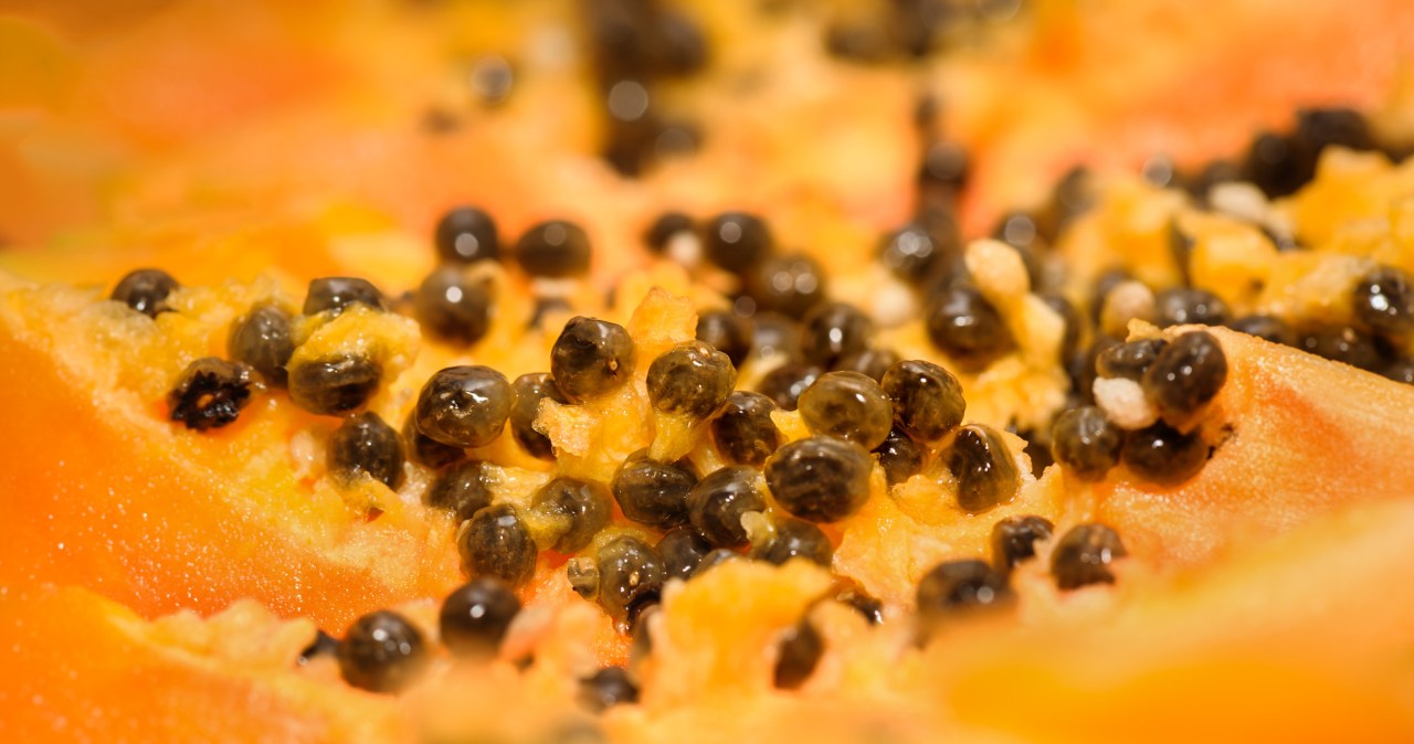 Papaja to owoc bogaty w witaminy, minerały i antyoksydanty /starush /123RF/PICSEL