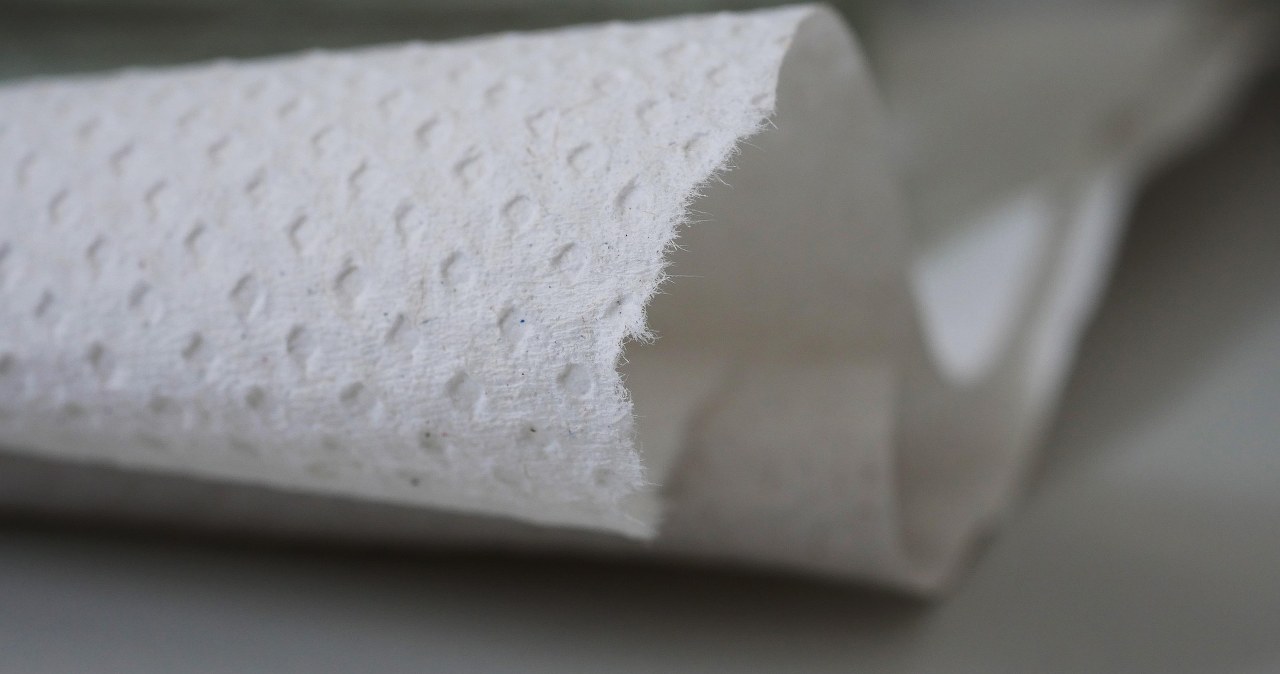 Паперові рушники на кухні - це дуже зручно, але чи безпечно? /pixabay.com