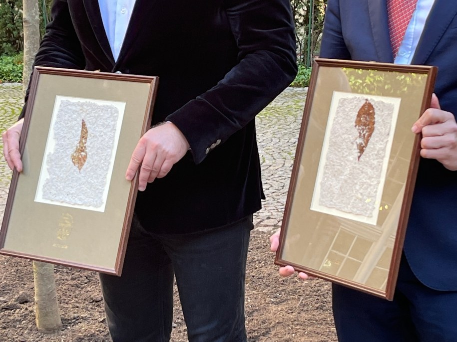 Papier z drewna ze starego kasztanowca /Paweł Pyclik /RMF24